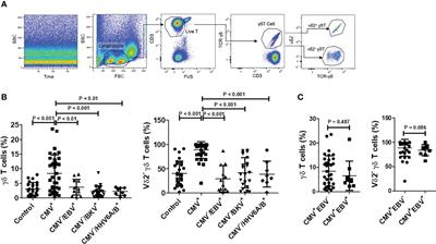 Expansion of effector memory Vδ2neg γδ T cells associates with cytomegalovirus reactivation in allogeneic stem cell transplant recipients